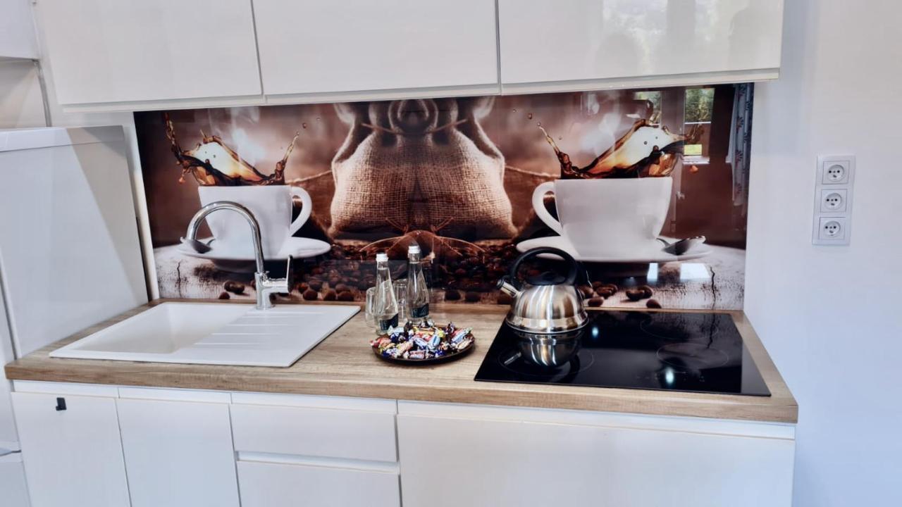 Apartament Kameralny Daire Zakopane Dış mekan fotoğraf